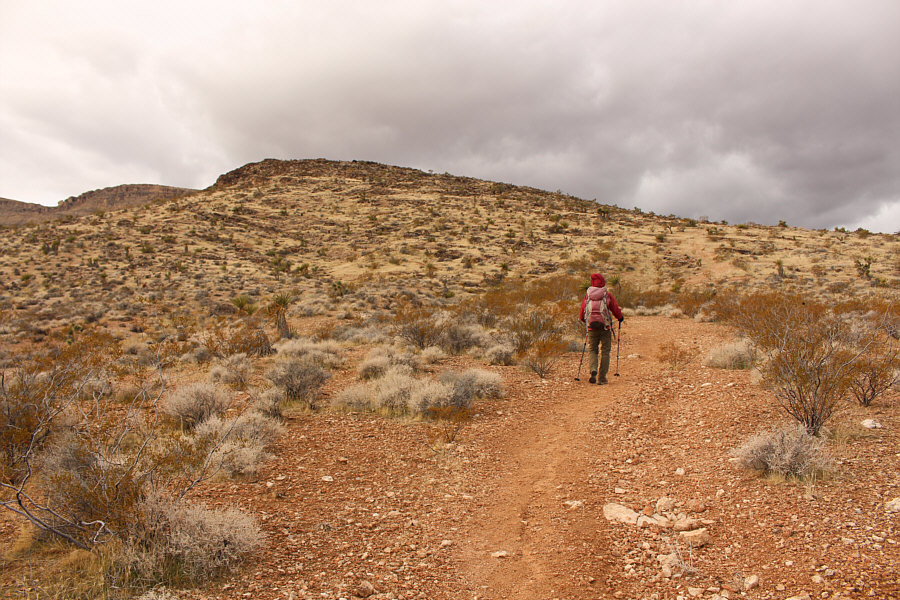 This is turning out to be too easy!