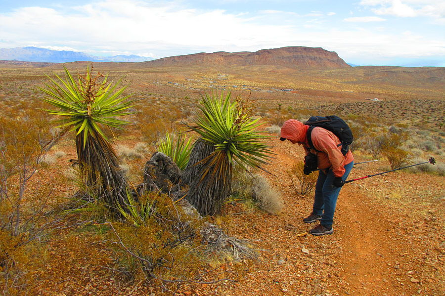 I think I got the point!