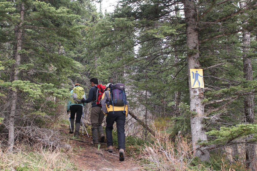 There's a similar sign above a basketball hoop at the hostel!