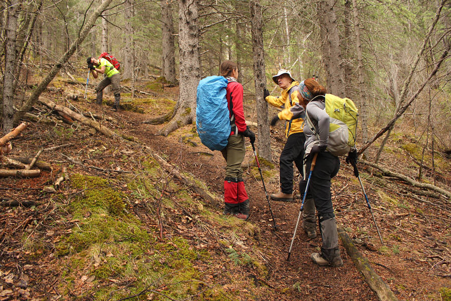 Ali and Asieh were also sleep-deprived.