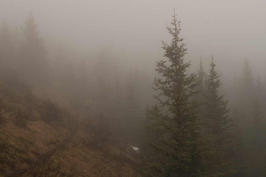 Sadly...nothing to see here!