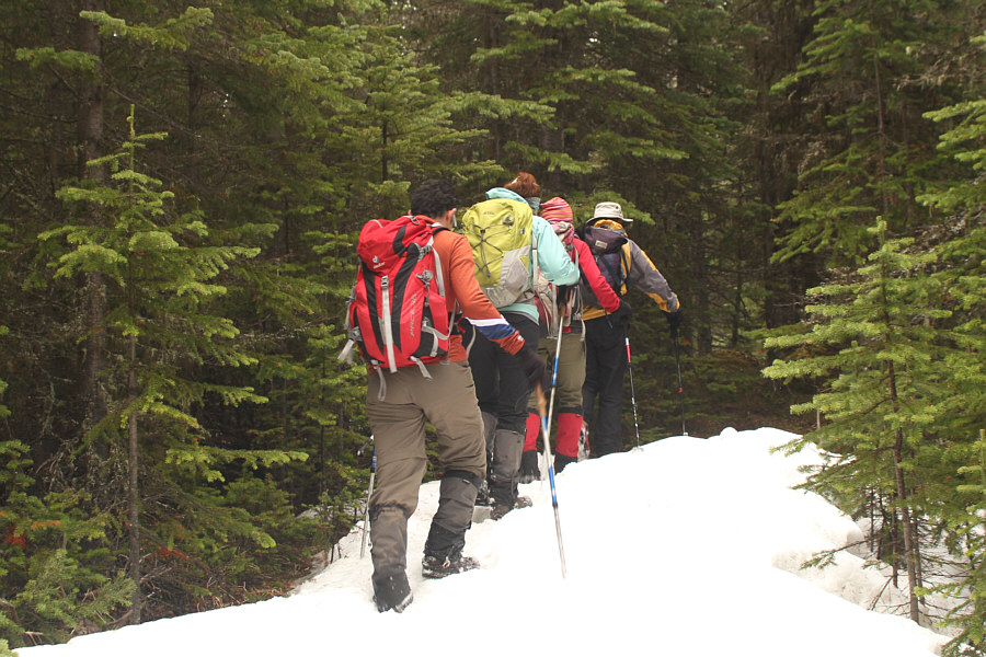 Almost skiable...almost!