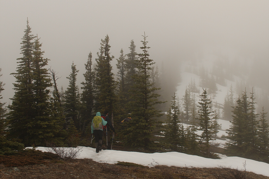 At this point, we might as well keep going just to tag the stupid summit!