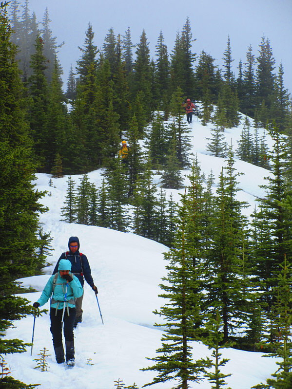 Oh, how I already miss skiing!