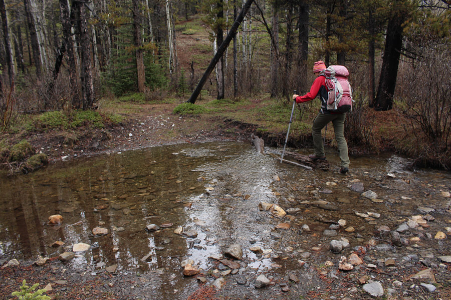 Good place to clean all the dung off your boots?