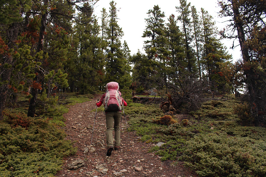 The cool temperatures this morning were perfect for hiking uphill.