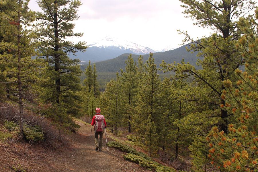 Definitely better to do the loop counter-clockwise!