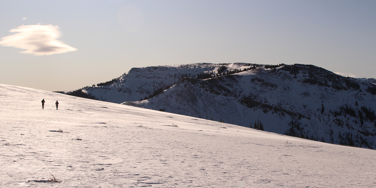 Still a long ways to go though...