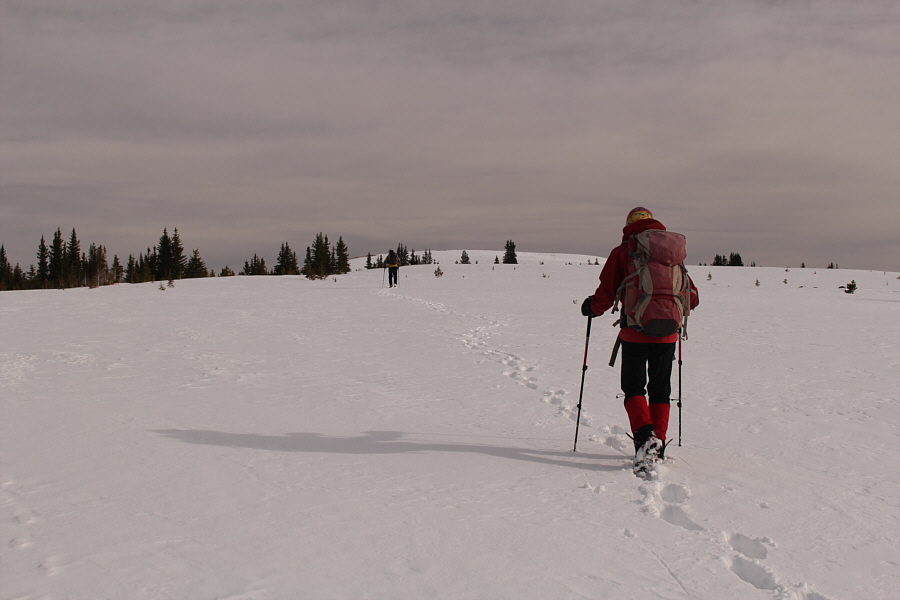 The snow is not deep but is nevertheless tiresome to walk through.