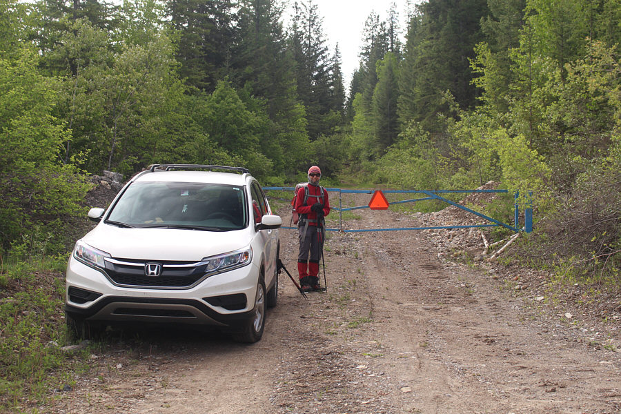 No "No Trespassing" signs, so I guess we're cool!