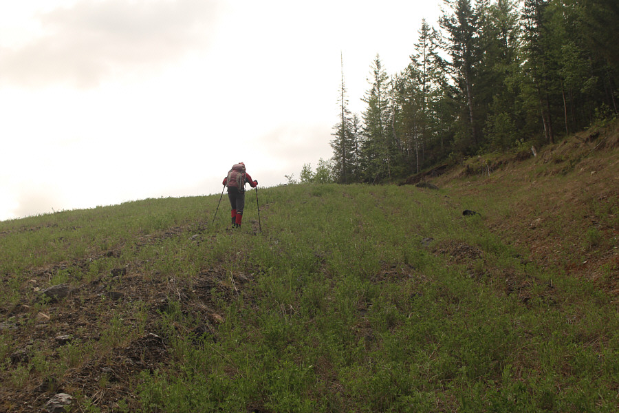 Just trying to put off bushwhacking for as long as possible!