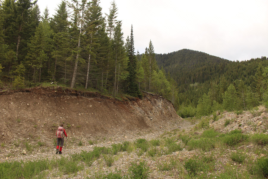 Okay, let's see where this goes...