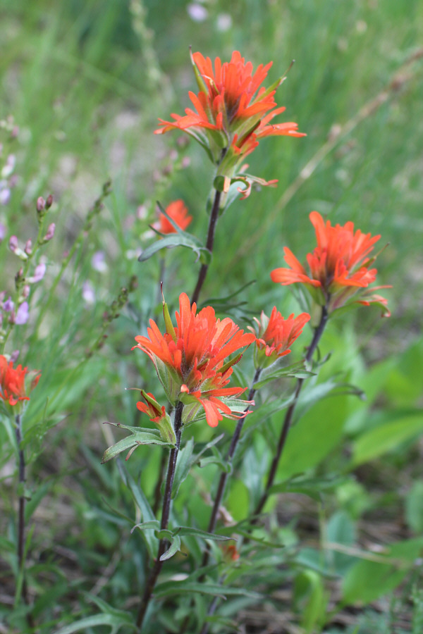 Always a welcome sight!