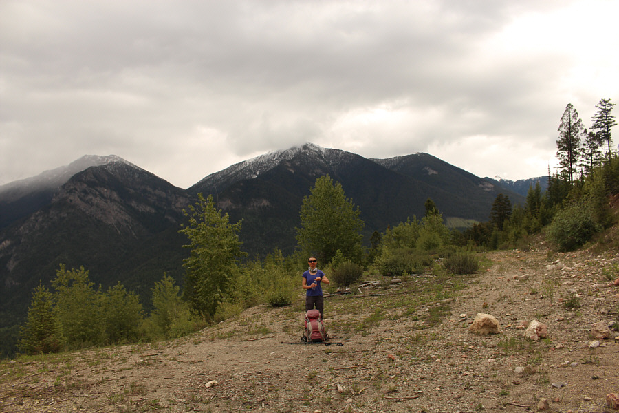 Time to bite the bullet and start bushwhacking...