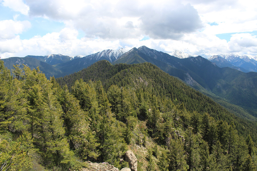 Oh great. Another viewless summit!