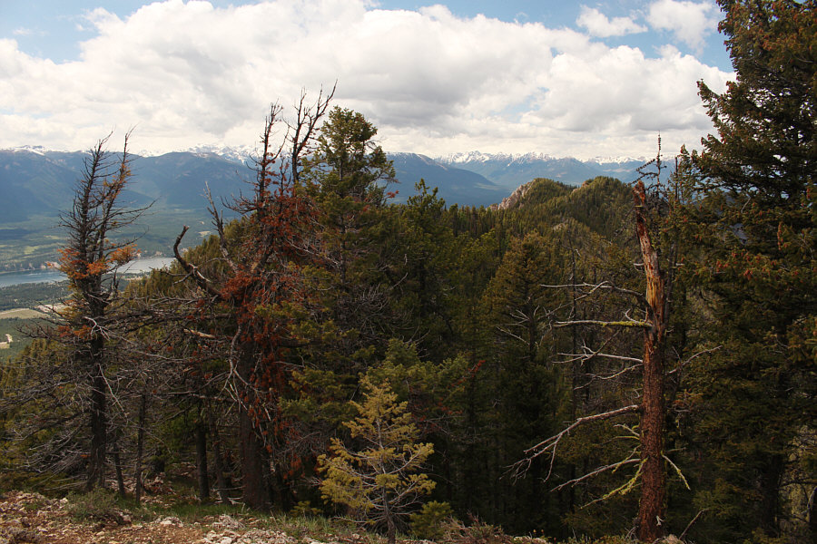 We've come a long way, baby (not really)!