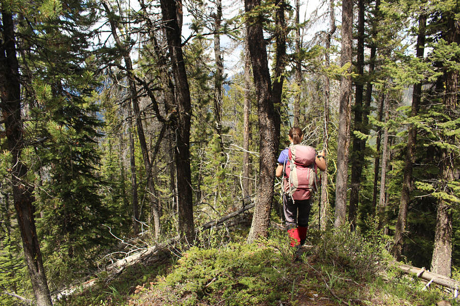 A fairly pleasant descent with minimal bushwhacking...for now!