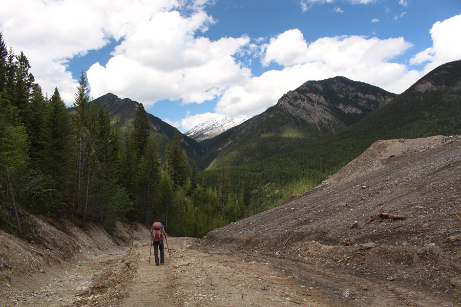 On the road again...