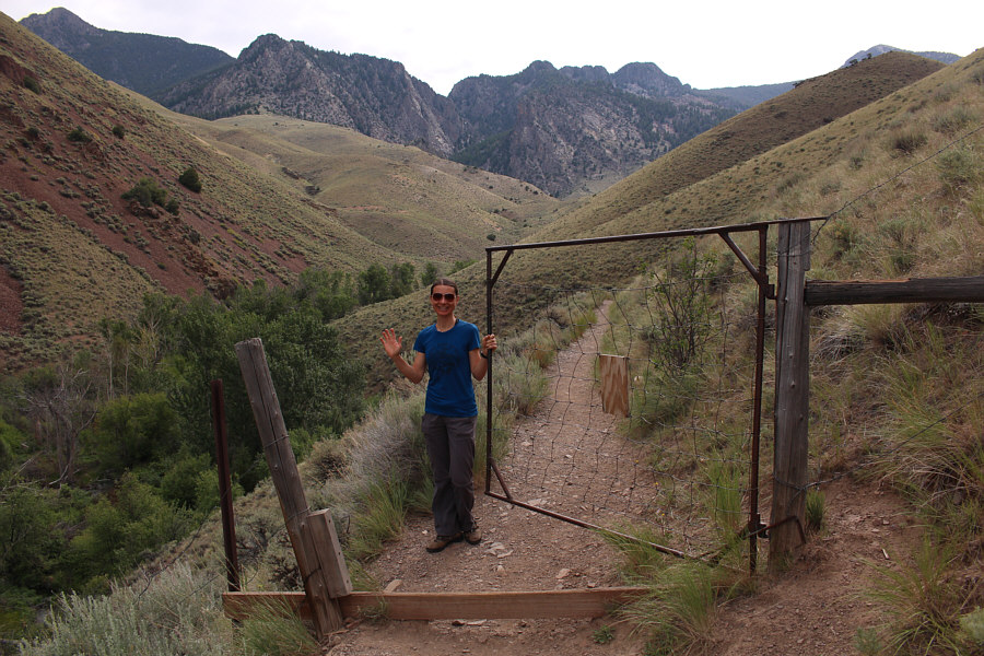 The gate is spring-loaded and shuts itself.