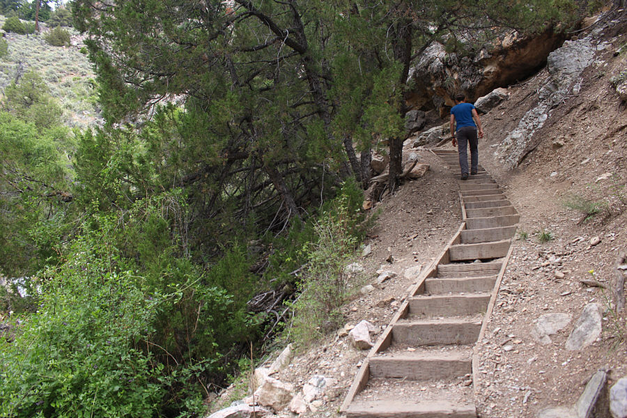 Anticipation builds...