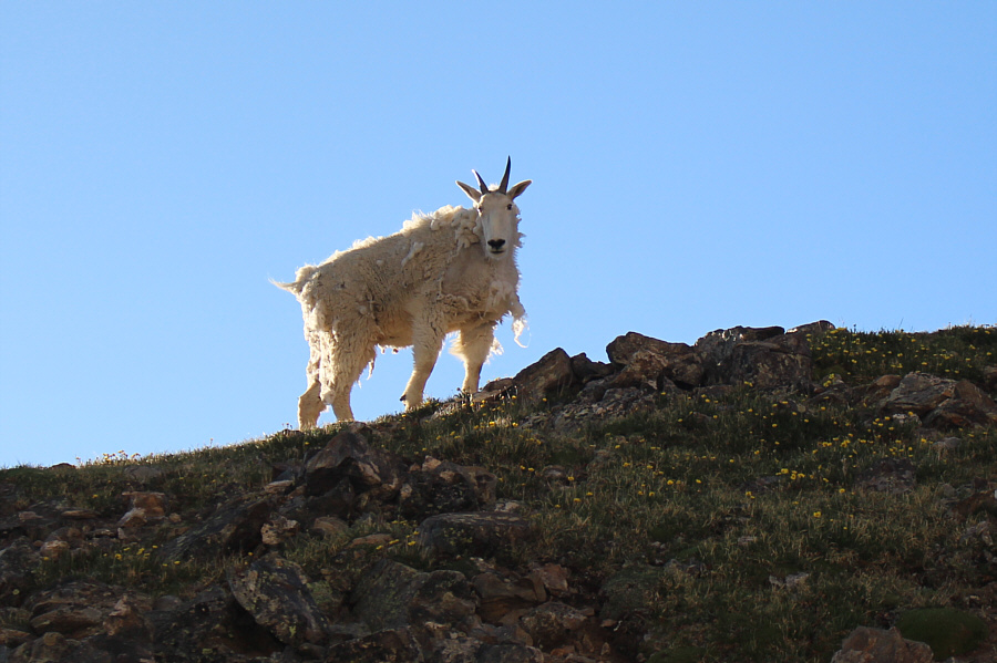 The first of many...