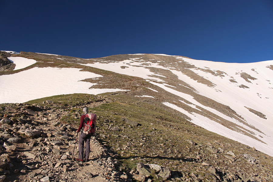 There are some people and goats ahead of us in this photo.