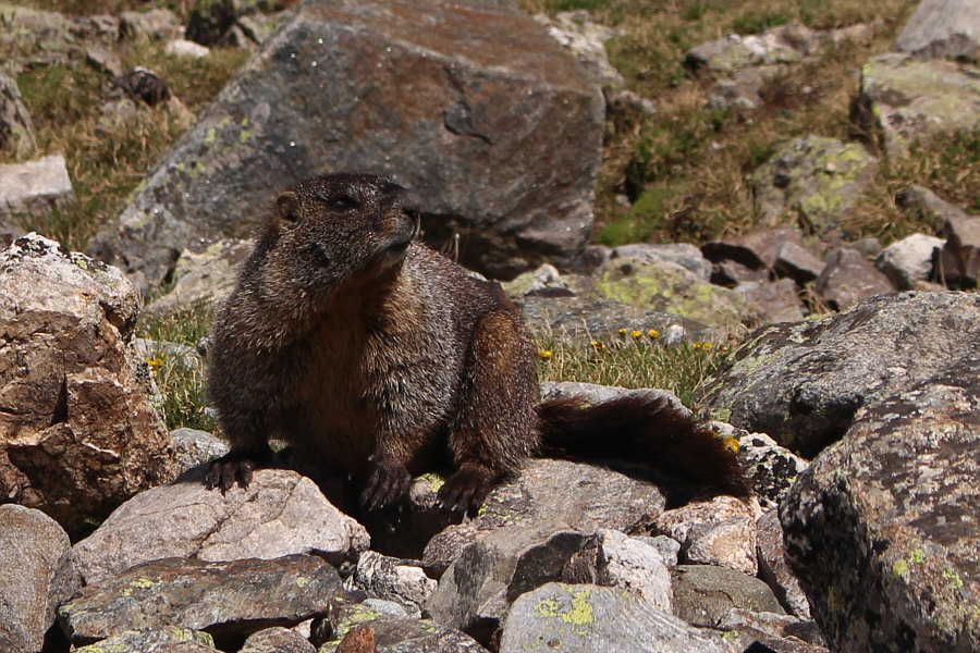 This trip is turning into a bit of a safari!