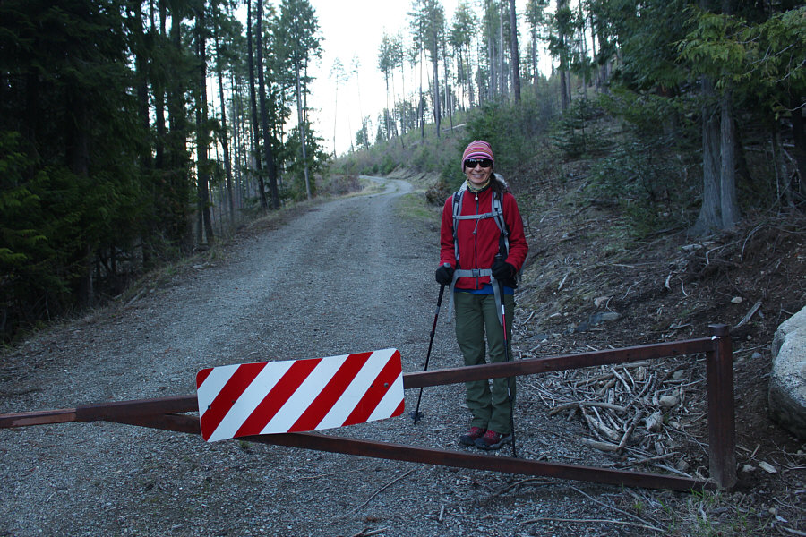 It's a very well-maintained road, so there must be some regular traffic here from time to time.