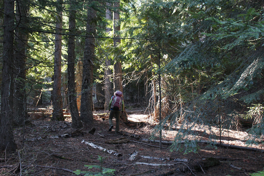 The bushwhacking here was not bad.