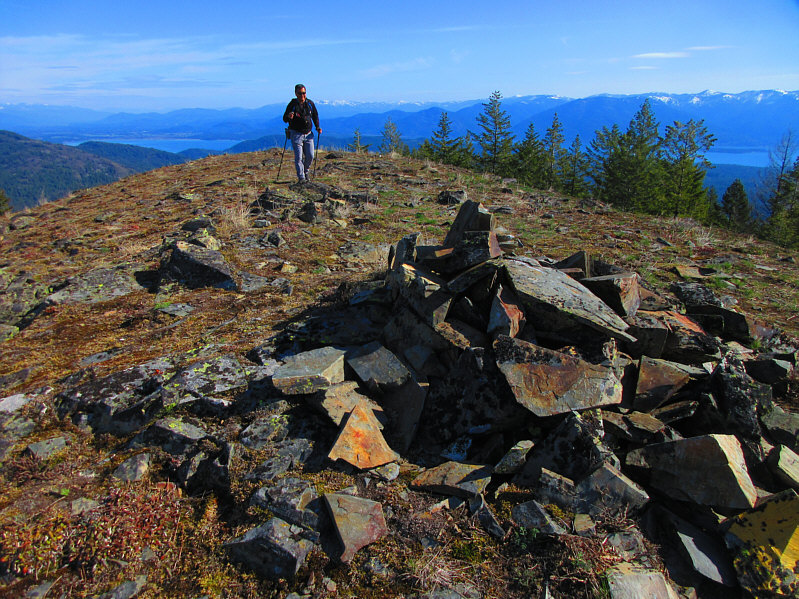 Lots of ladybugs in the cairn!