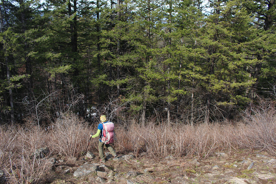 Doesn't look very promising...