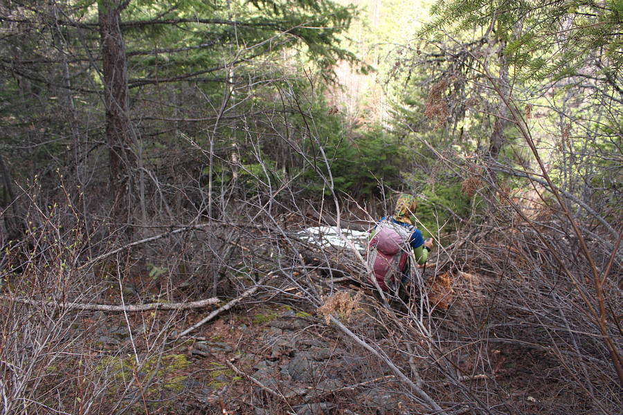 We've had worse...much worse!