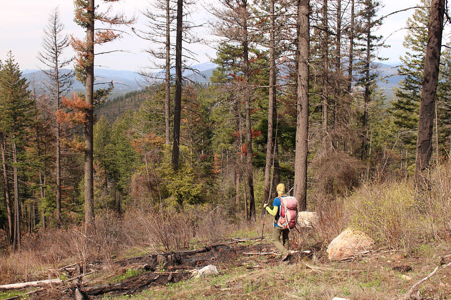 Not bad at all--we need to veer far to the right here though.