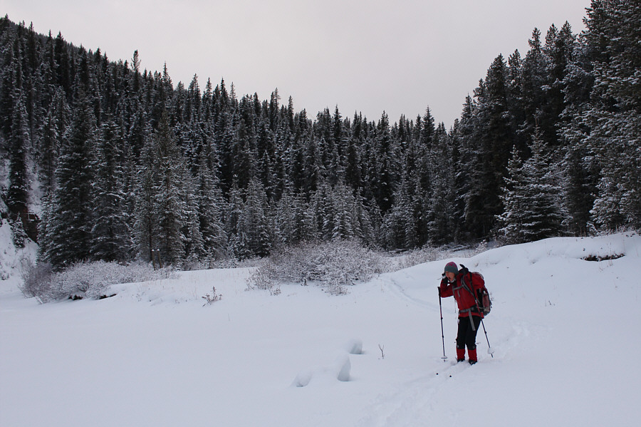 Yes, we're still having fun at this point!