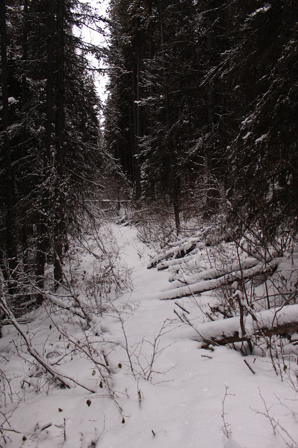 This doesn't look so fun anymore...