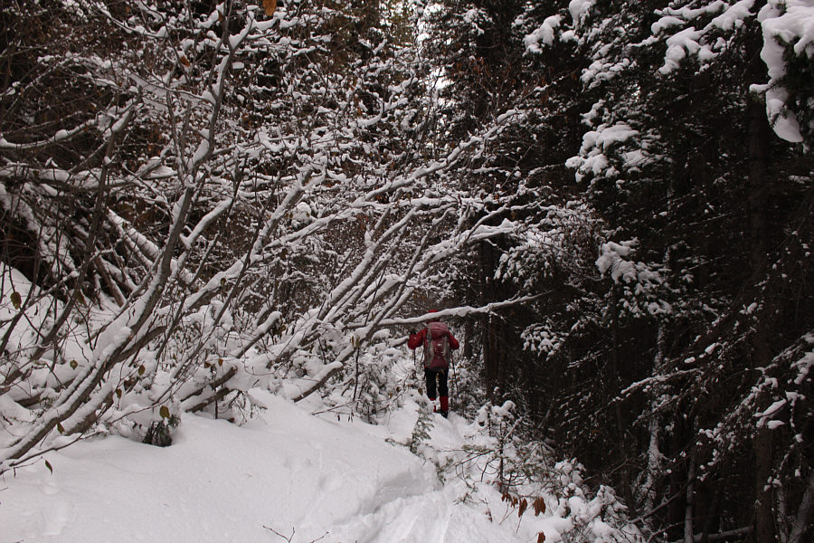 Never coming back here again!