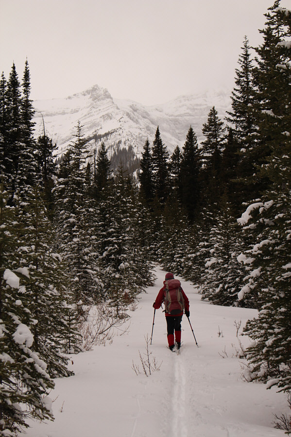 Much better...for now!