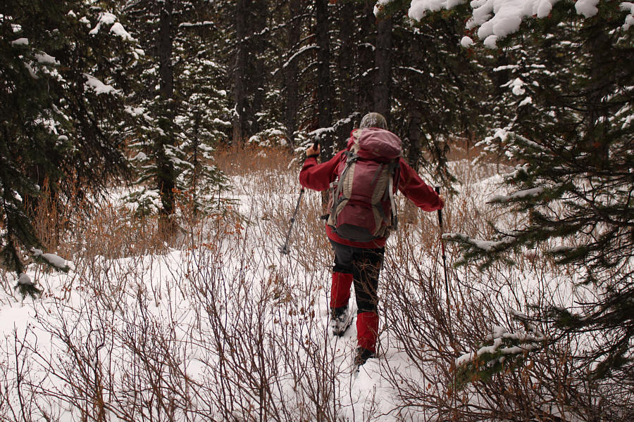 I can't believe we skied through all this shit!