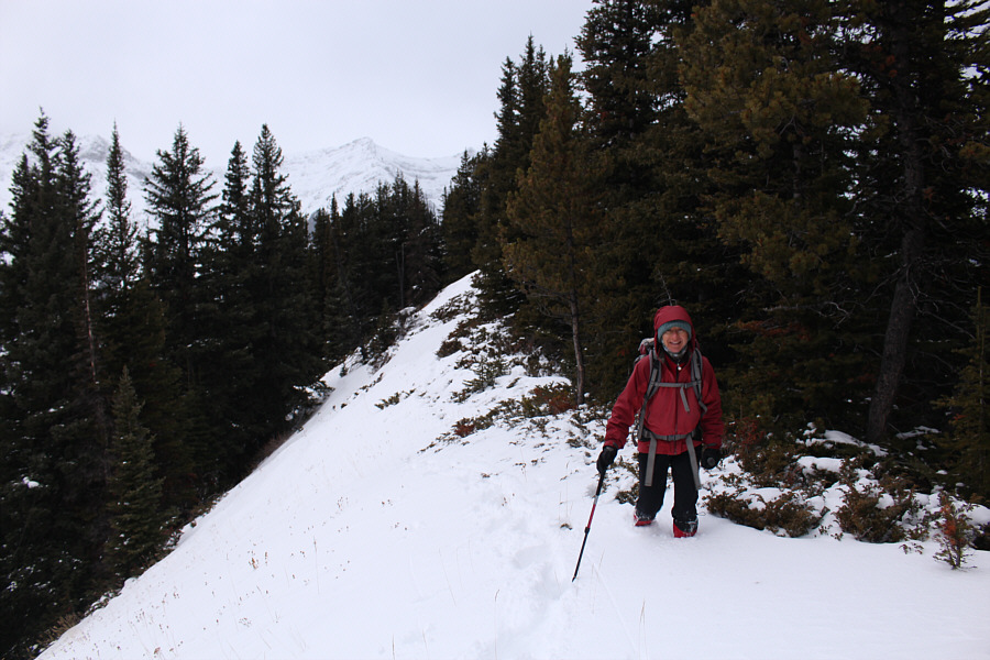 Someone needs to come back up this ridge with a friggin' chain saw...