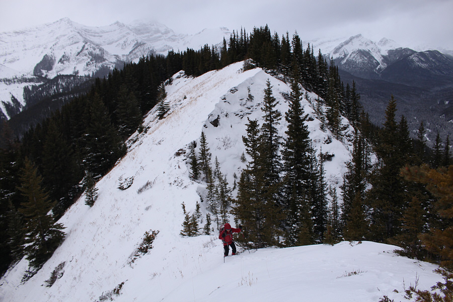 I didn't think the high point was worth a summit photo!