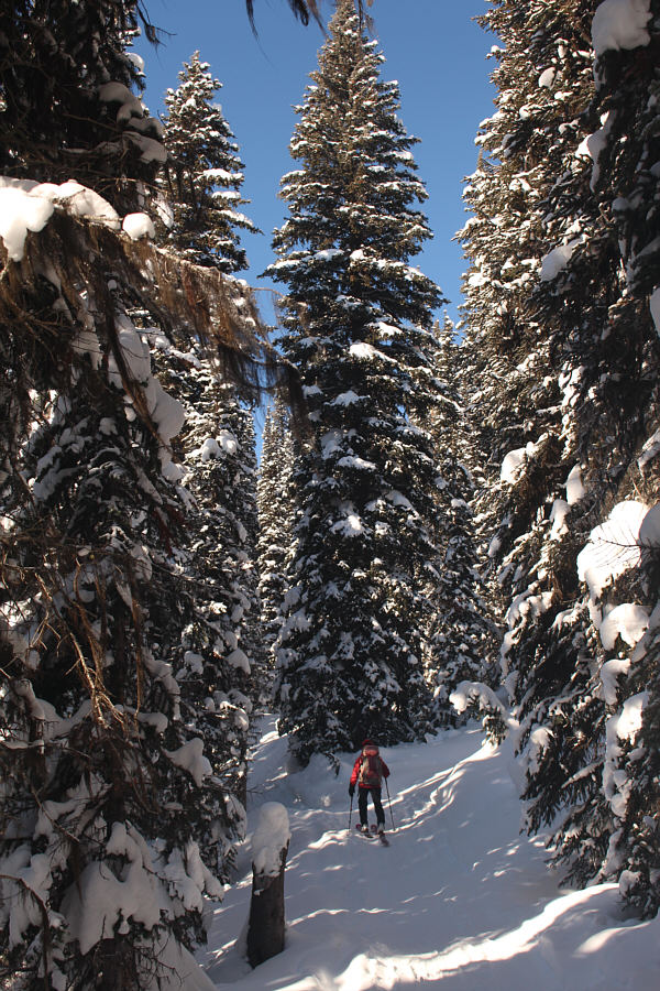 Don't expect to see much for the first couple of hours...