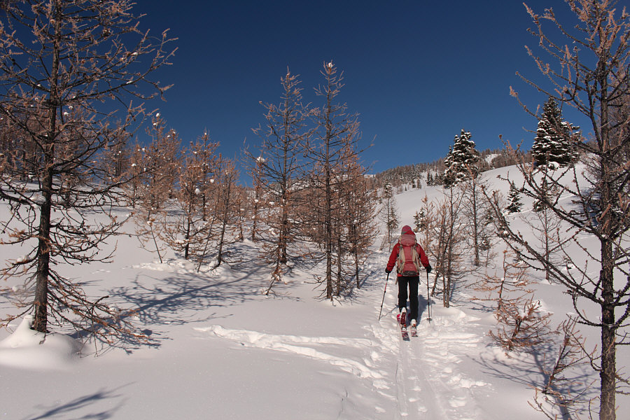Boy that sun feels nice!