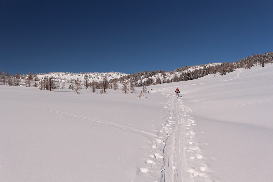 Perfect conditions here--sunny and not a breath of wind!