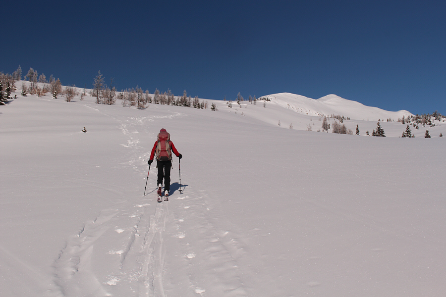 I think I can feel my fingers and toes again!