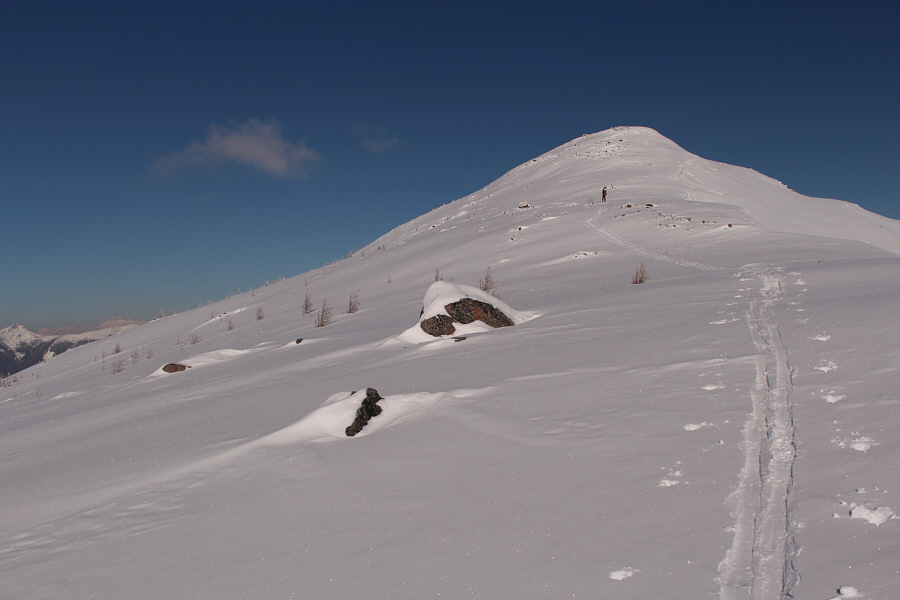 I think we're gonna make it!