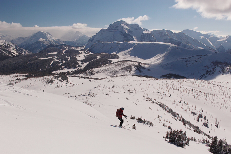 The Monarch is high on my to-do list this year!