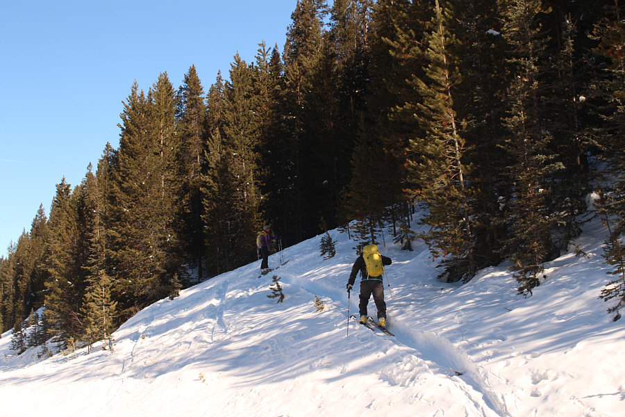 Beep...beep...beep...