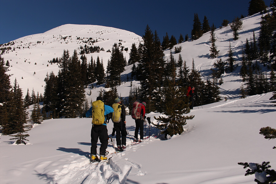 Things are looking up!