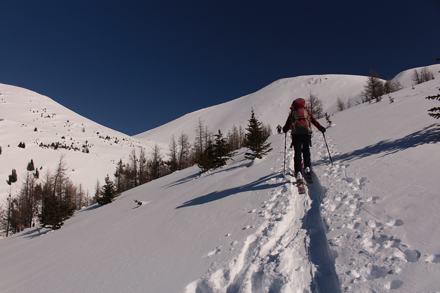 Still a lot of climbing left...