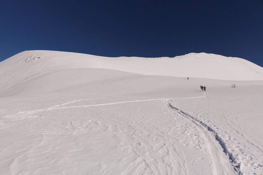 Not as tame as it looks from here...